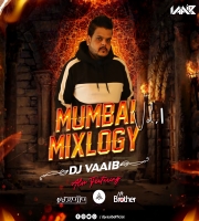 MUMBAI MIXLOGY VOL 01 - DJ VAAIB