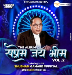 Jaybhim Wala Navra Halgi Mix Shubham G Official